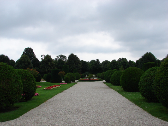 Parc in Viena (2009, June 27) - Flori Gradini Parcuri