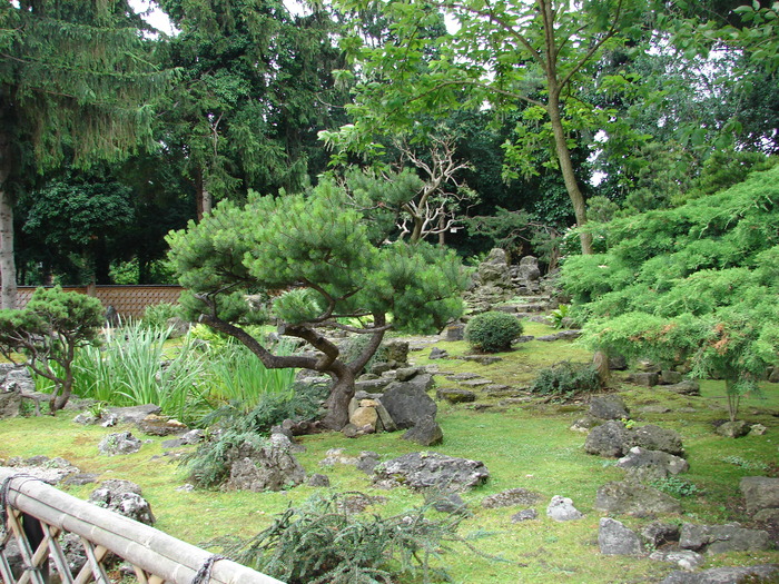 Japanese Garden (2009, June 27); Viena.
