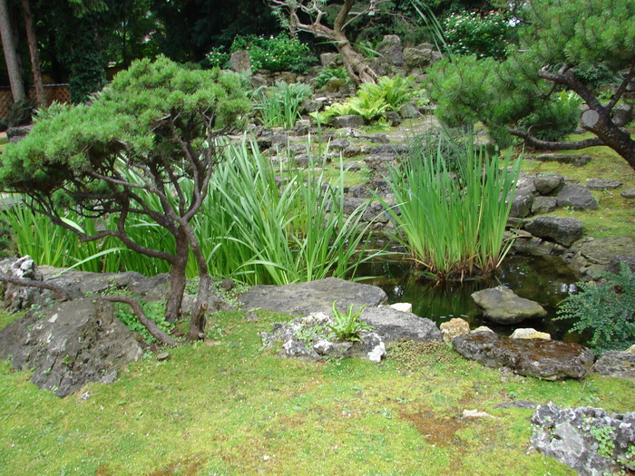 Japanese Garden (2009, June 27) - Flori Gradini Parcuri