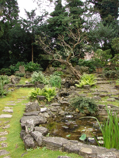 Japanese Garden (2009, June 27) - Flori Gradini Parcuri