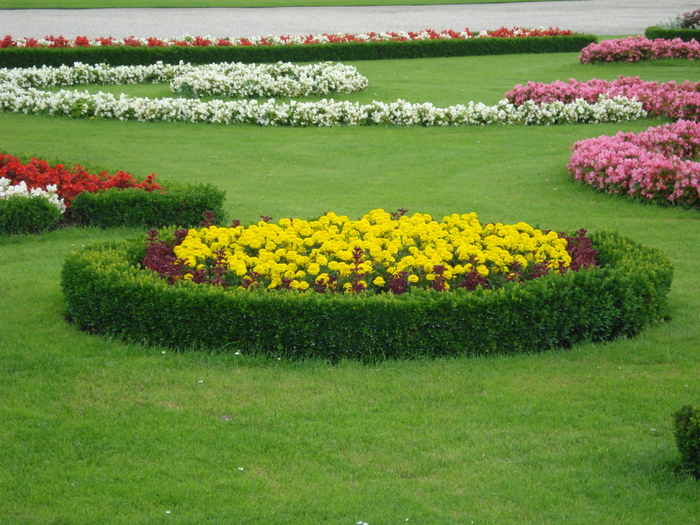 Schonbrunn Garden (2009, June 27); Viena.
