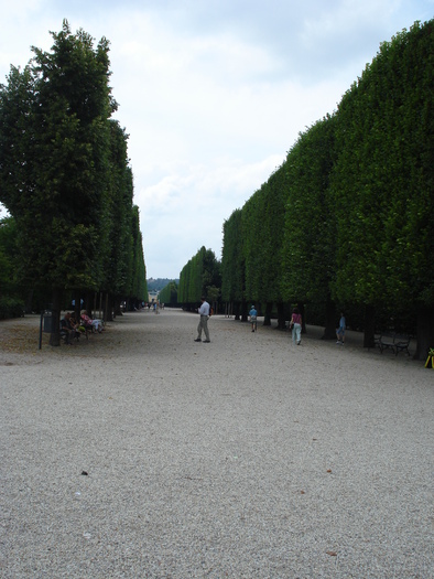 Schonbrunn Garden (2009, June 27); Viena.
