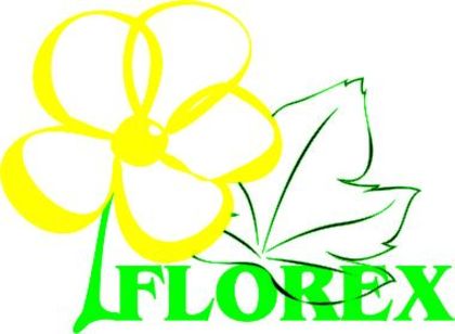 Florex%20copy%201