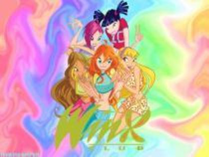 24 - winx noi 1