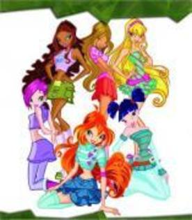 25 - winx noi 1