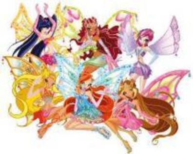 17 - winx 1