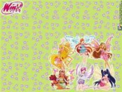 18 - winx 1