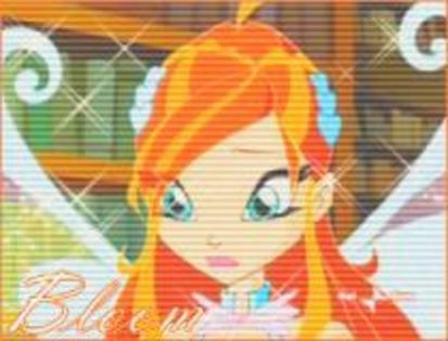 62 - winx 1