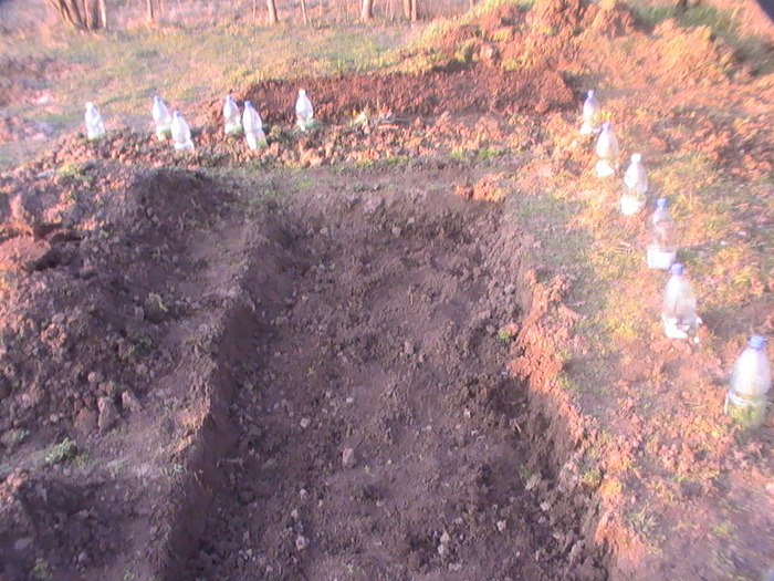 amenajare rasadnita; in gradina de legume
