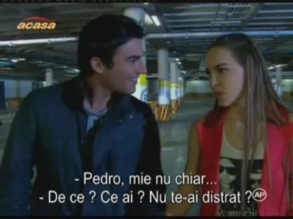 136-1 - Cameleonii