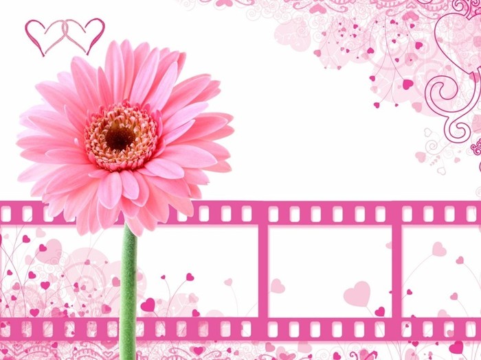 pink-background-with-film-clips - Background