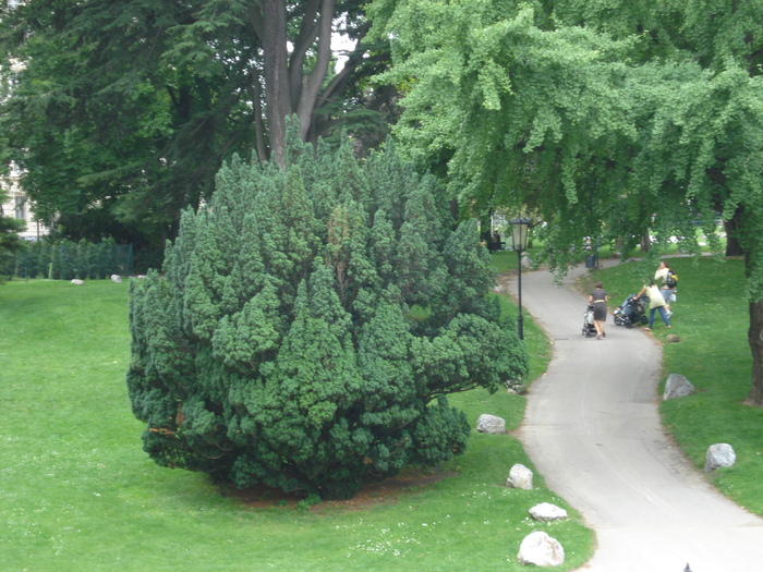 Evergreen (2009, June 28); Viena.
