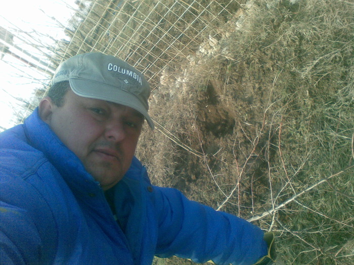 Picture 174; la plantat de sacim in primavara lui 2010
