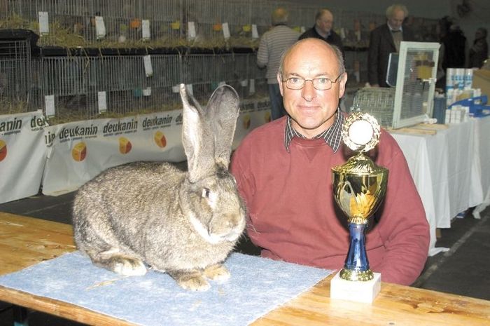 uriasul gri- campionul Kremer; campionul germaniei cu stapinul
