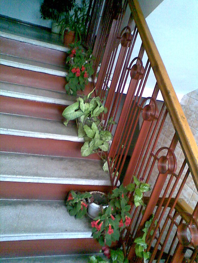 Pic000; green stairs
