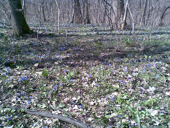 March023 - spring 2010