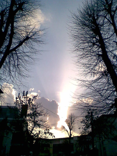 March015; frumusetea Soarelui
