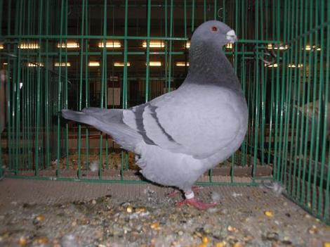 pb220060