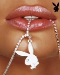 Play_Bunny - poze tari si avatare