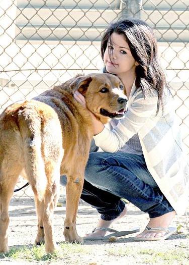 hunden_ar_selena_gomez_basta_van