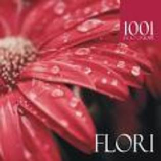 images (4) - Flori