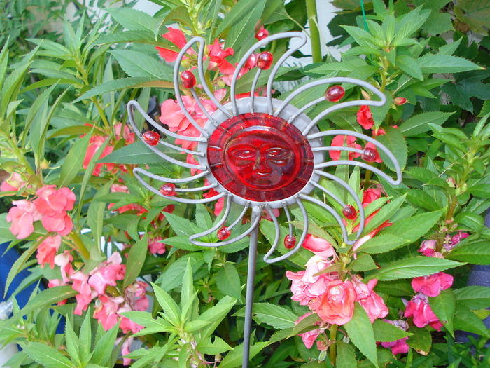 DSC07574