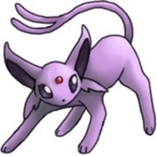 11583282_PTAEALVKE - espeon