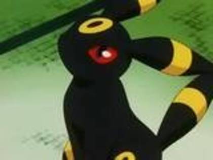 umbreon choice - espeon si umbreon