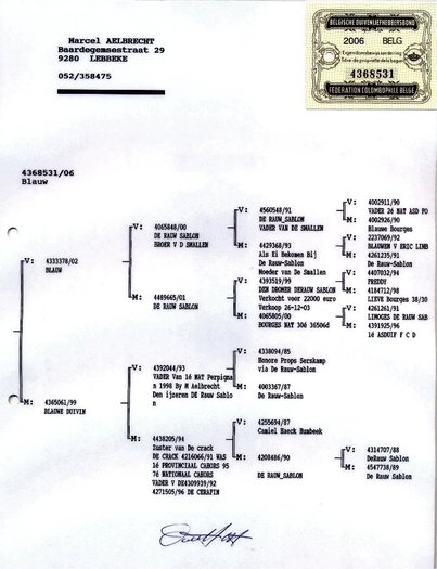 1219743365_2 - PORUMBEI SI CITEVA DESPRE MARCEL ALBRECHT