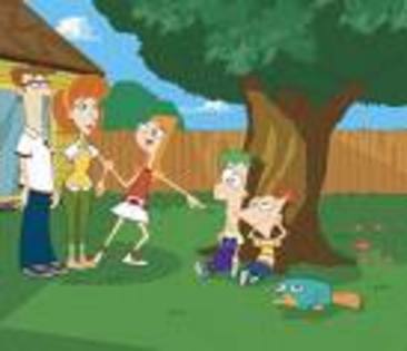 images - phineas and ferb