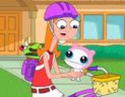 images - phineas and ferb