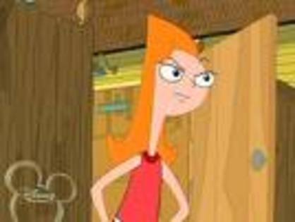 images - phineas and ferb