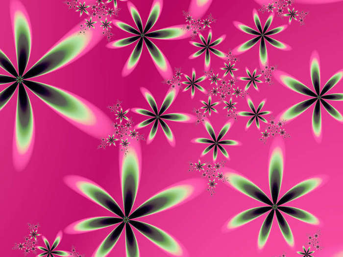 Pink-wallpaper-pink-color-10579427-800-600 - wallpaper