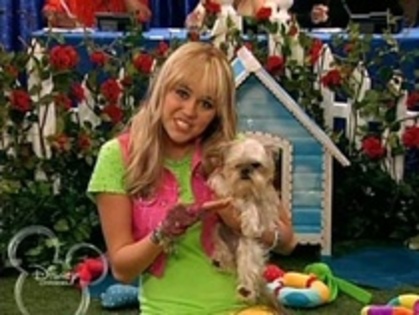 11360139_YTOMSAZMN - aici arat cat de mult o iubesc pe miley hannah