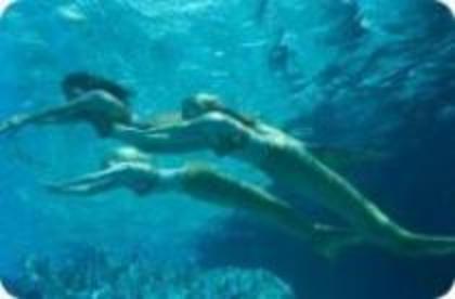OTFMFBJQEOMZPDDVYBU - Poze h2o