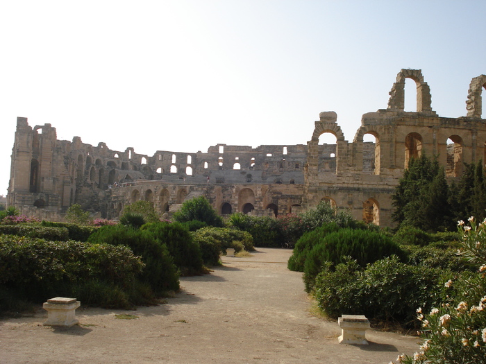 verde; tunisia 2007.
