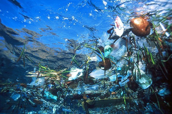 plastic-ocean-trash - viata in oceane