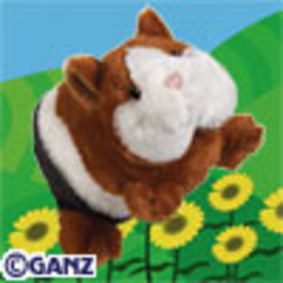 guinea_pig - webkinz