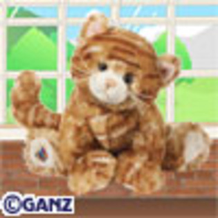 ginger_cat - webkinz