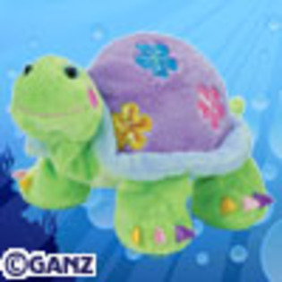 daisy _turtle - webkinz