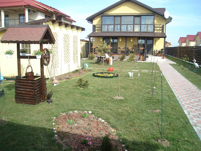 DSC07344 - Primavara 2010