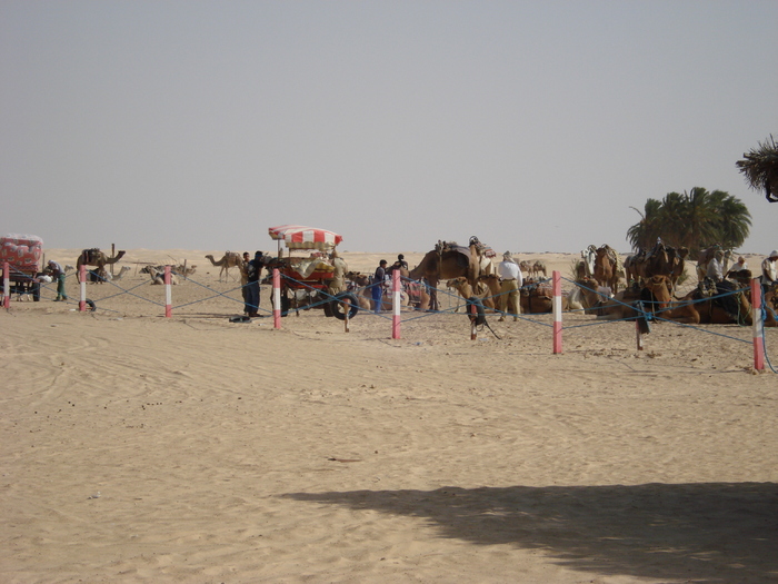 camile; tunisia 2007.
