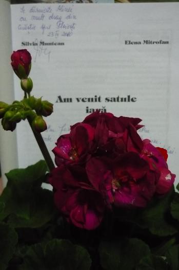 AM VENIT SATULE IARA - o amintire de suflet, pt. totdeauna - dedicat D-nelor Silvia Muntean si Victoria Colda