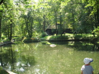 parc - castelul bran - amintiri de pe ici-si-colo