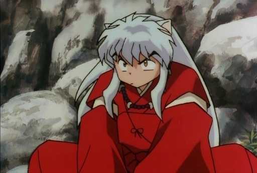 Inuyasha-inuyasha-3150349-512-345