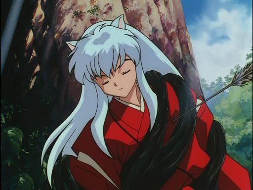 Inuyasha-inuyasha-5249052-512-384