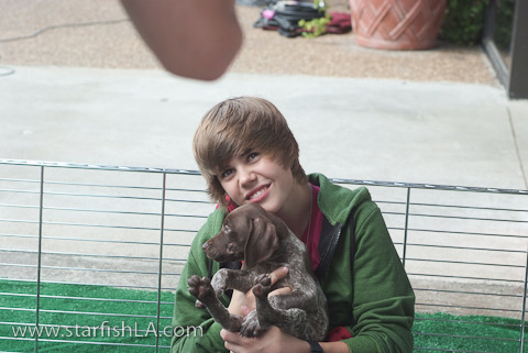 justinbieber_1264096186 - Justin Bieber puppy