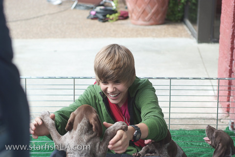 justinbieber_1264096188 - Justin Bieber puppy