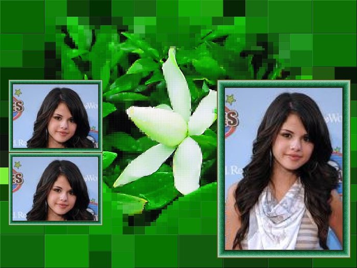 YMDOHJYMAKSWGGMMJEM[1] - poze selena gomez