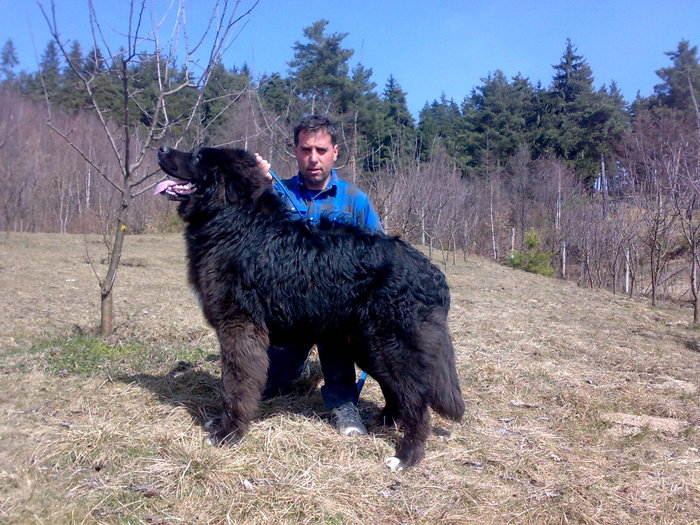 corbea la 9 luni - DE VANZARE